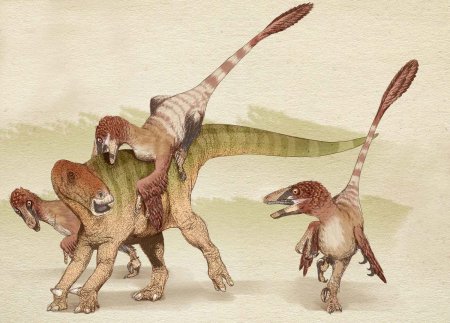 Дейноних и Велоцираптор Ютараптор