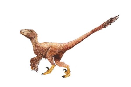 Велоцираптор Дейноних динозавр