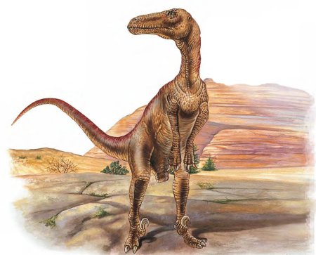 Раптор и Ютараптор