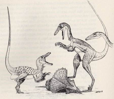 Велоцераптор рисунок карандашом