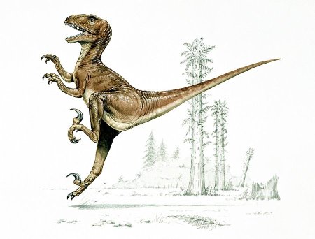 Компсогнат Дейноних