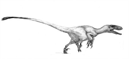 Ютараптор Палео арт