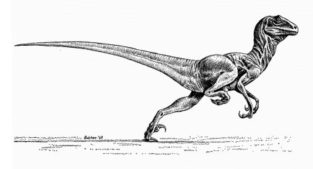 Дейнонихус Джон остром