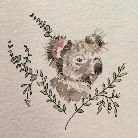 Коала тушью