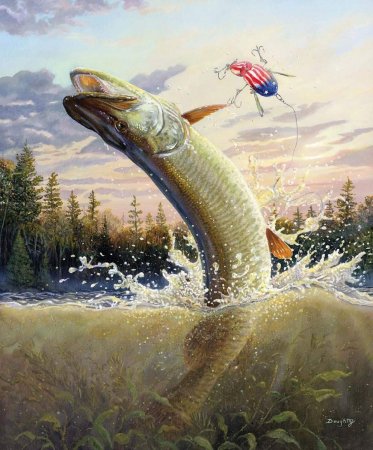 Щука выпрыгивает из воды