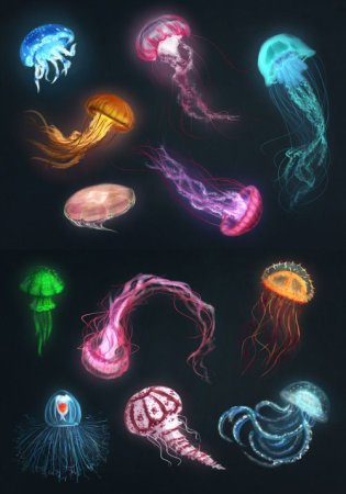 Медуза рисунок