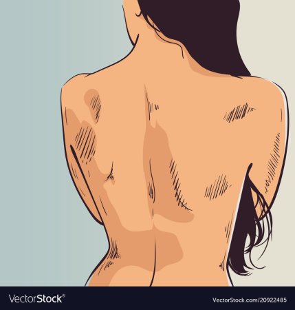 Очертания женского тела