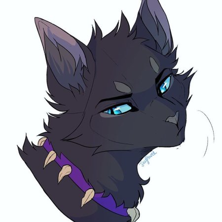 Коты Воители Бич Scourge