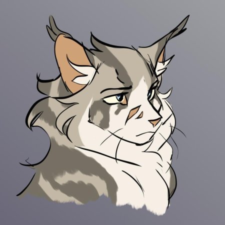 Коты Воители Сероус