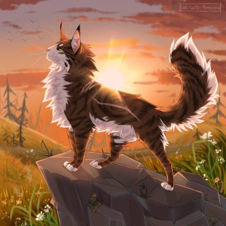 Коты Воители Варриорс