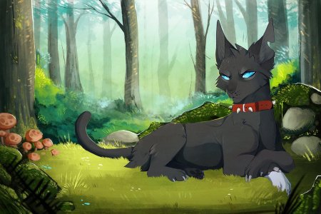 Коты Воители Остролистая и Бич