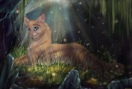 Коты Воители Иглолапка