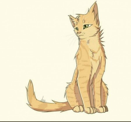 Коты Воители Песчаная буря