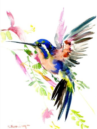 Птицы акварелью