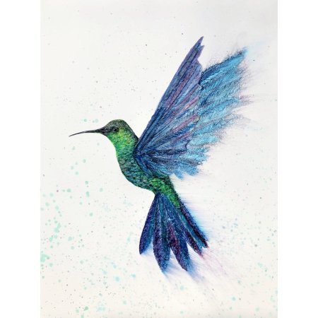 Колибри рисунок