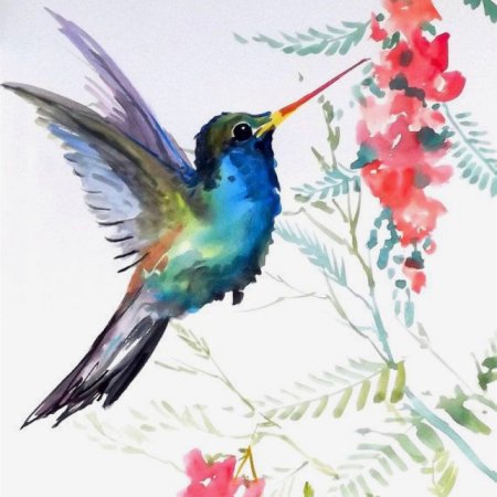 Красивая птичка акварель