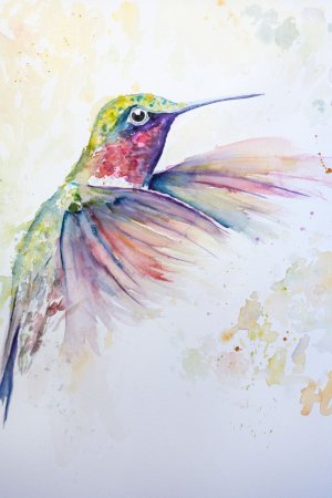 Птицы в акварельной живописи