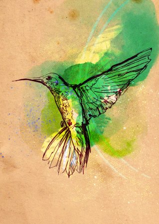 Колибри арт