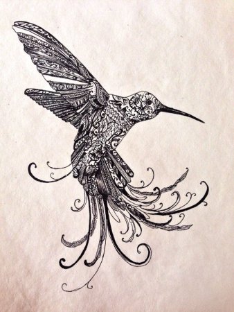 Колибри стилизация