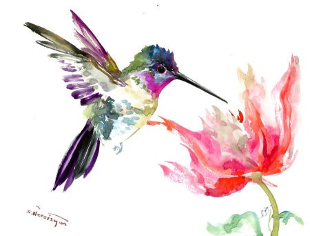 Колибри акварель