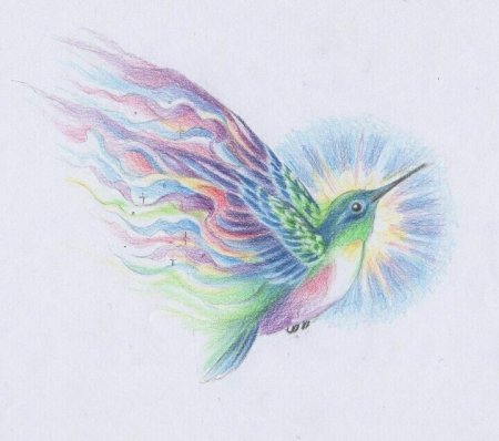 Колибри цветными карандашами
