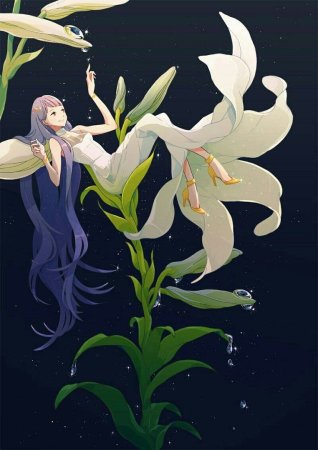 Лилия арт хуманизация