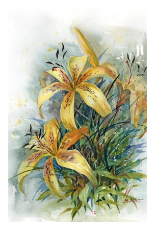 Мандрыкин акварелист желтые лилии