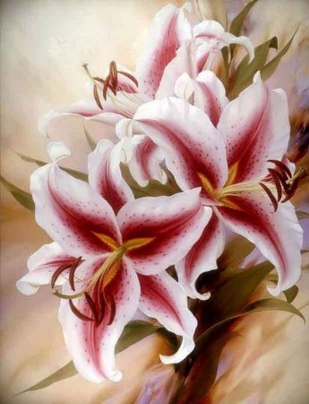 Игорь Левашов лилии