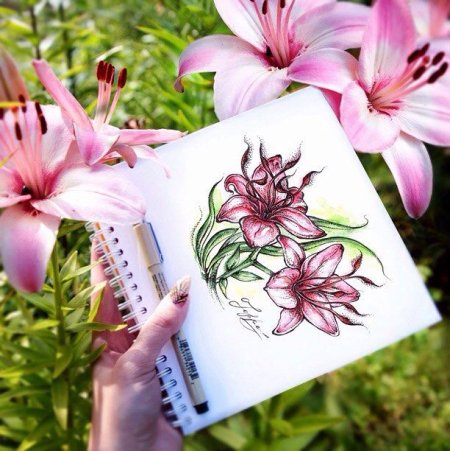 Лилии маркерами