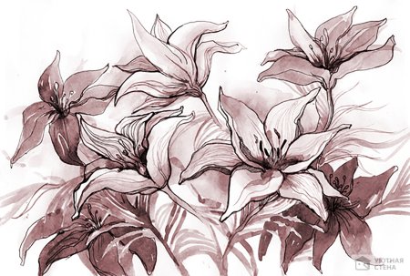 Лилия в графике