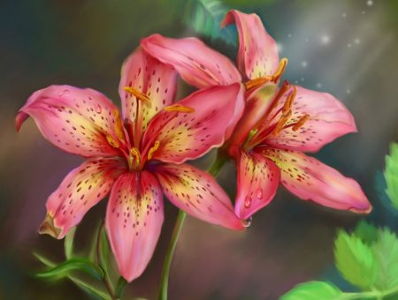 Лилия иллюстрация