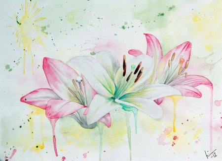 Лилия цветок акварель