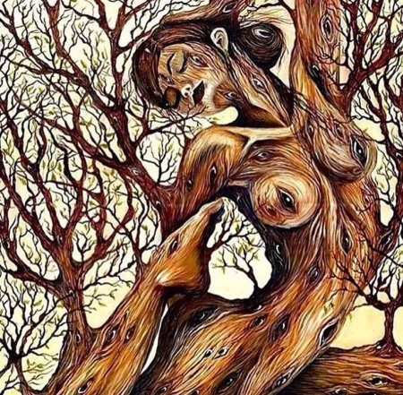 Лисет алькальд художник