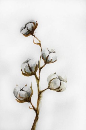 Хлопок акварель