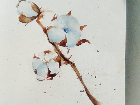 Цветок хлопка акварель