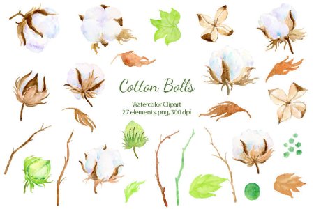 Акварельный логотип хлопок