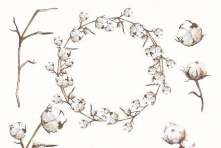 Хлопок иллюстрация
