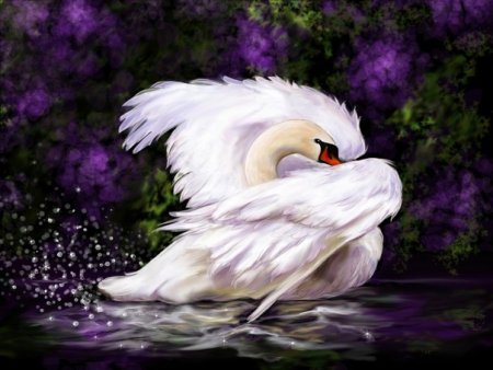 Лебедь рисунок карандашом