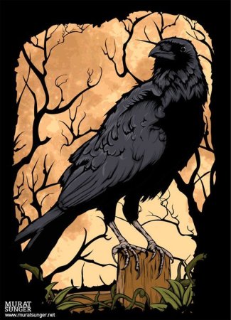 Вороны арт