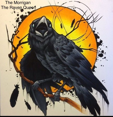 Иллюстрации с вороном