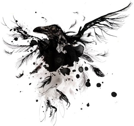 Ворон абстракция