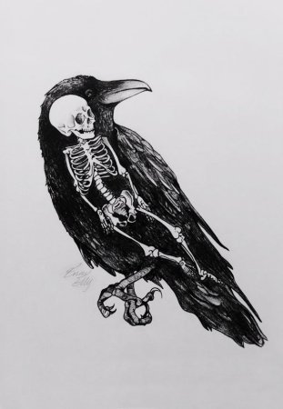 Скелет вороны