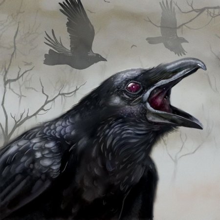 Ворон кричит