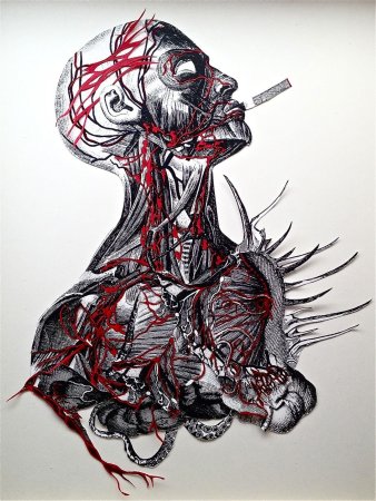 Красивые рисуночки анатомия