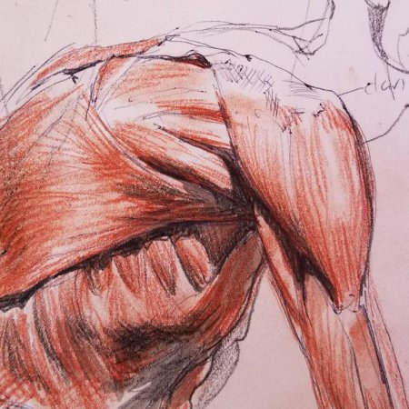 Скелет с цветами внутри