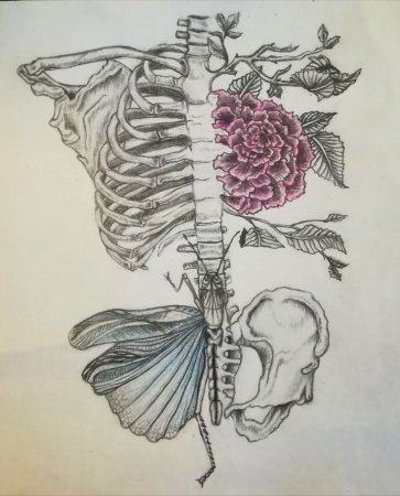 Художник Nunzio paci