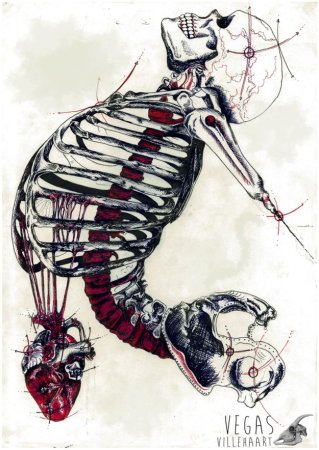 Скелет человека Баммес