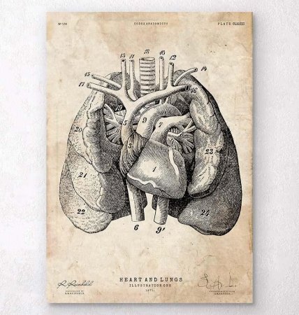 Художник-иллюстратор Nunzio paci