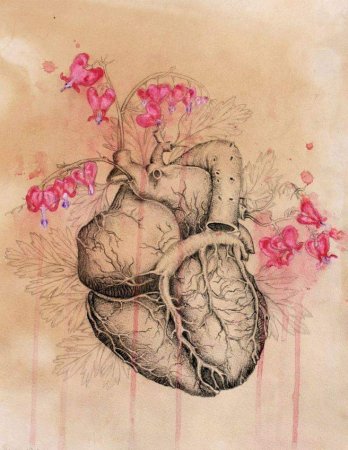 Леонардо да Винчи скелет и позвоночник