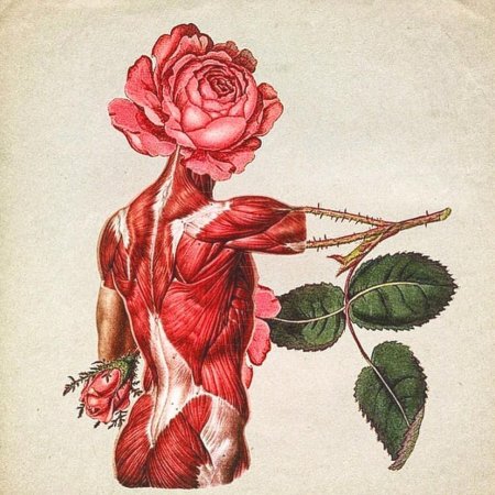 Анатомия парня референс